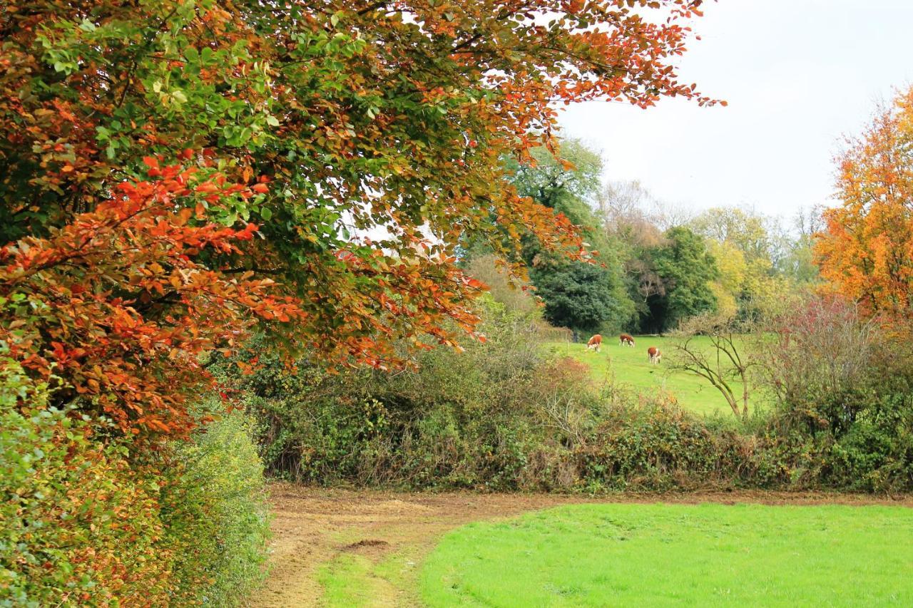 Affittacamere Wye Valley Tintern
